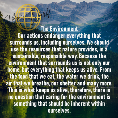 1_The-environment