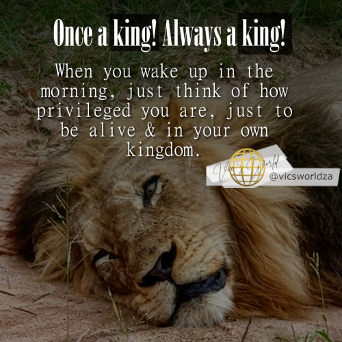 Always-a-king