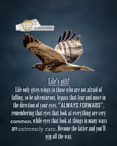 Lifes-gift