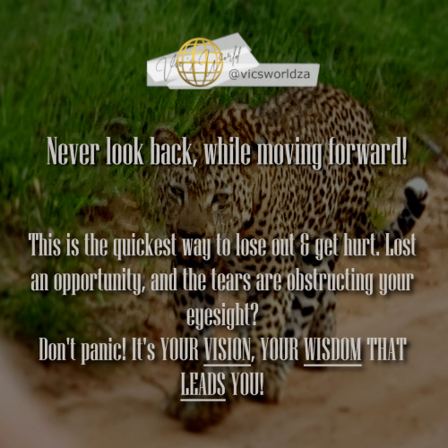 Never-look-back
