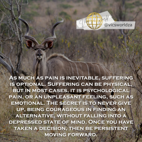 Pain-is-inevitable