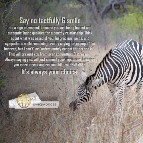 Say-no-tactfully