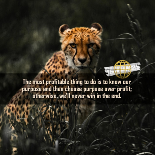 The-most-profitable-thing-to-do