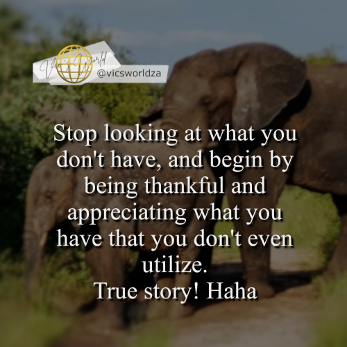 appreciate-what-you-have