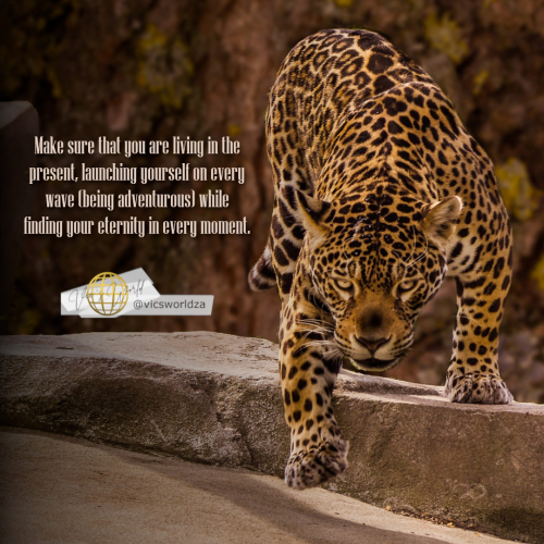make-sure-you-are-living-in-the-present