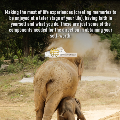 making-most-of-life-experiences